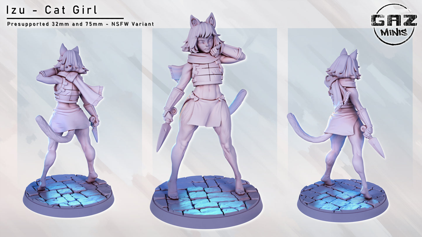 Cat Dungeon Girl - Fan art from GAZ Minis (2024 release)