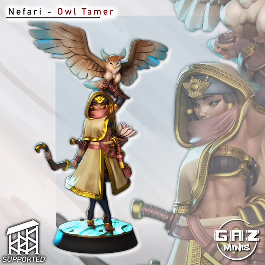 Nafari Owl Tamer - Fan art from GAZ Minis 2025