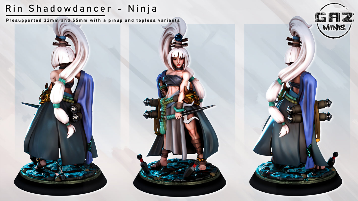 Rin Shadowdancer - Fan art from GAZ Minis (2024 release)
