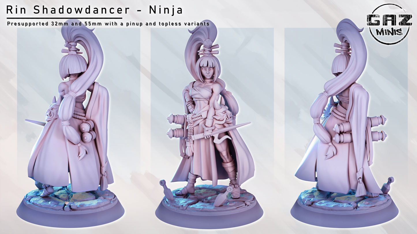 Rin Shadowdancer - Fan art from GAZ Minis (2024 release)