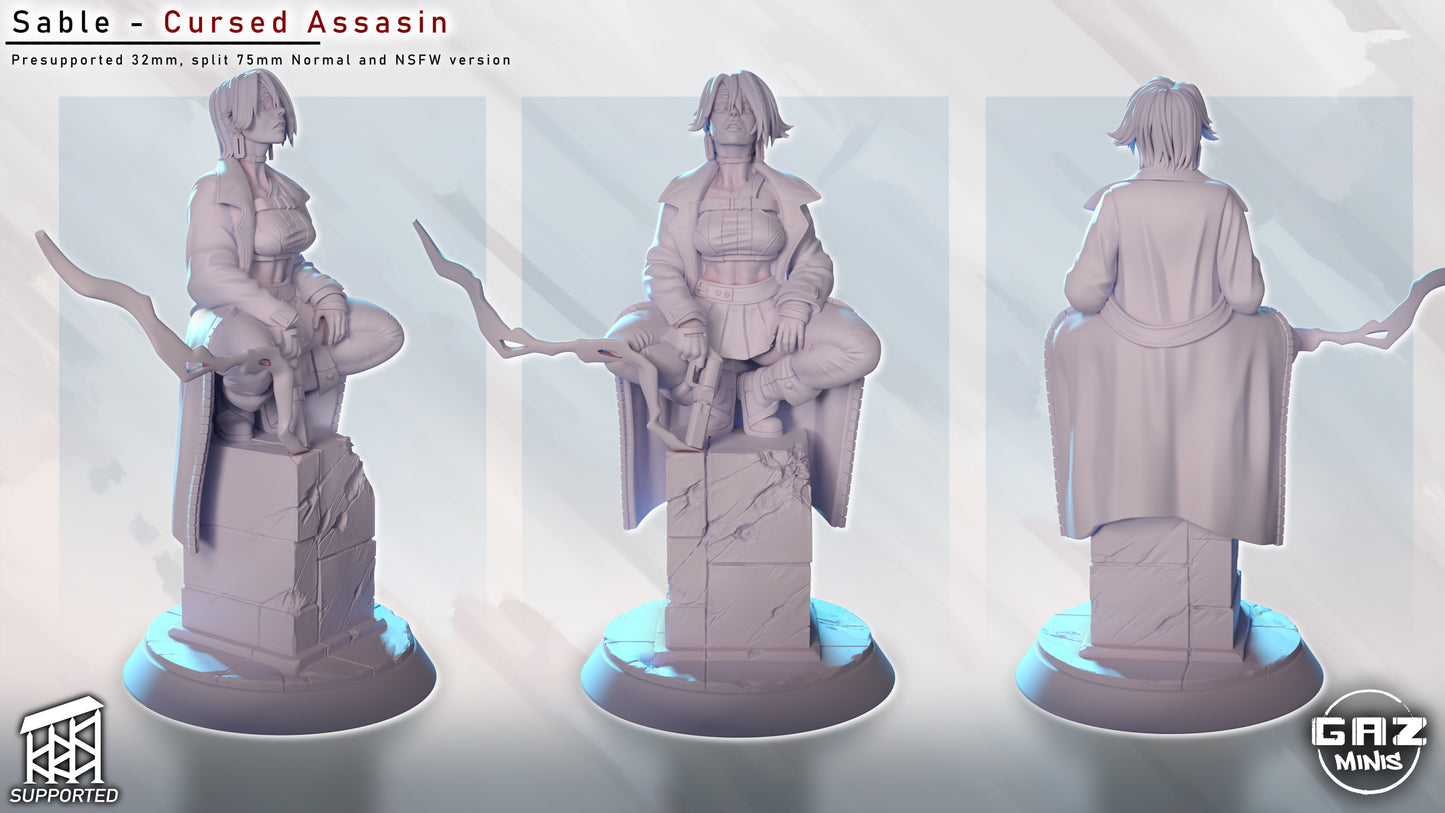 Sable Cursed Assasin - Fan art from GAZ Minis 2025