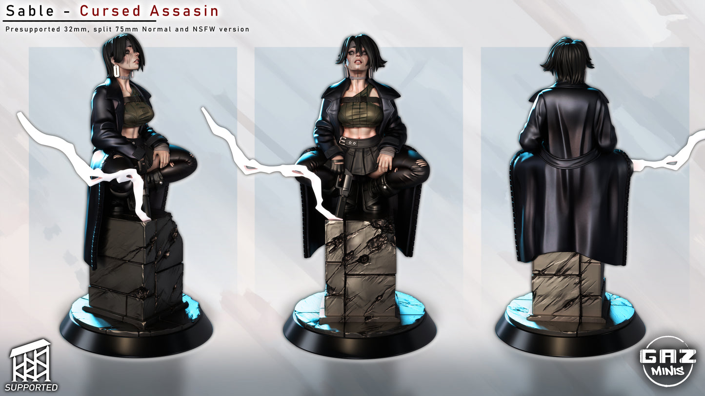 Sable Cursed Assasin - Fan art from GAZ Minis 2025