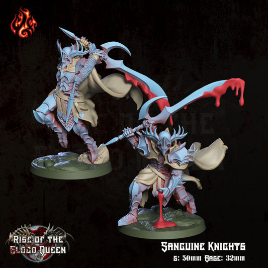 Sagnuine Knights - Rise of the Blood Queen - from Crippled God Foundry - Table-top gaming mini and collectable for painting. - from Crippled God Foundry - Table-top gaming mini and collectable for painting.