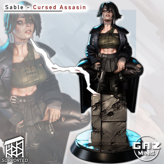 Sable Cursed Assasin - Fan art from GAZ Minis 2025