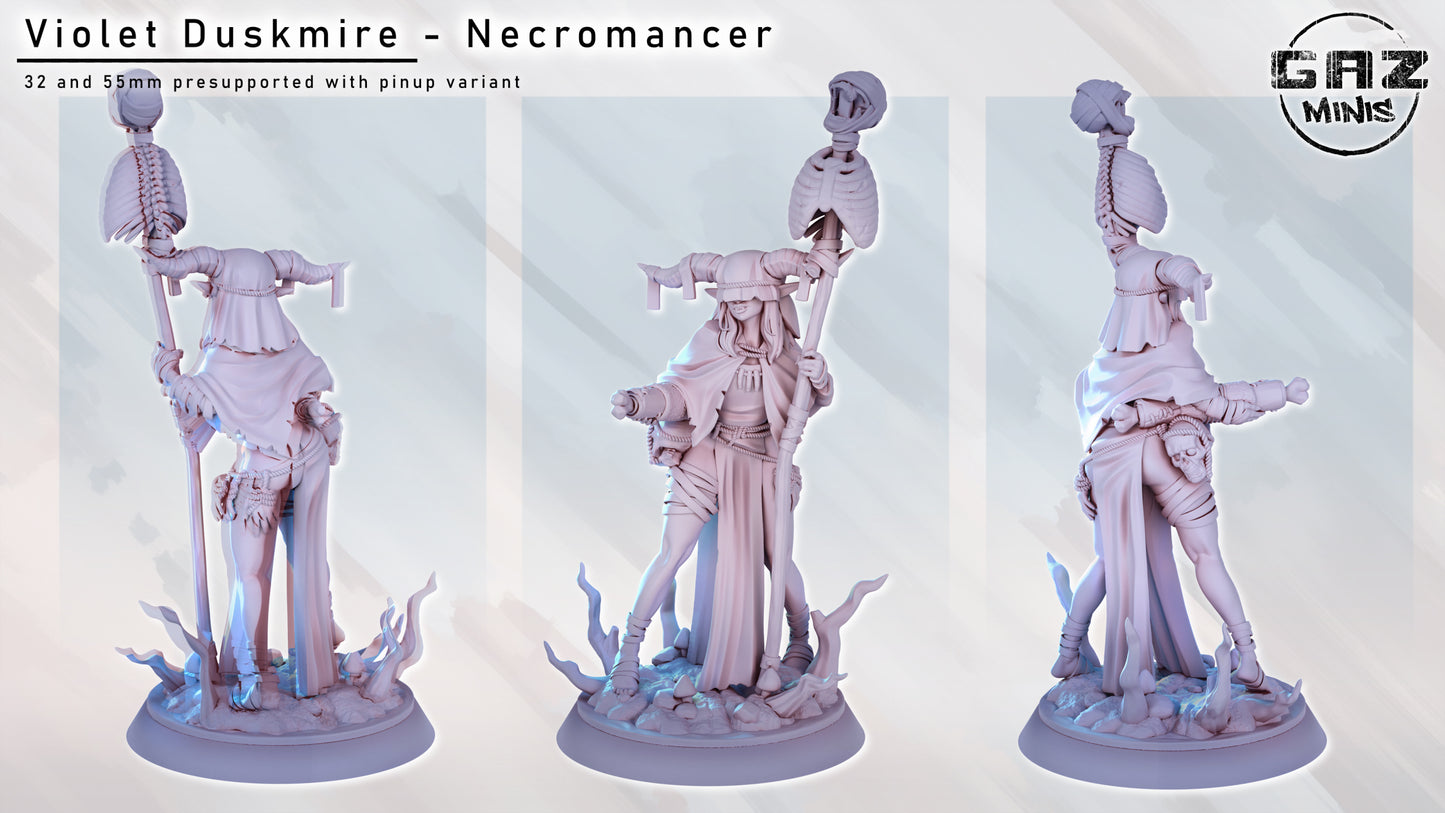 Necromancer - Fan art from GAZ Minis (2024 release)