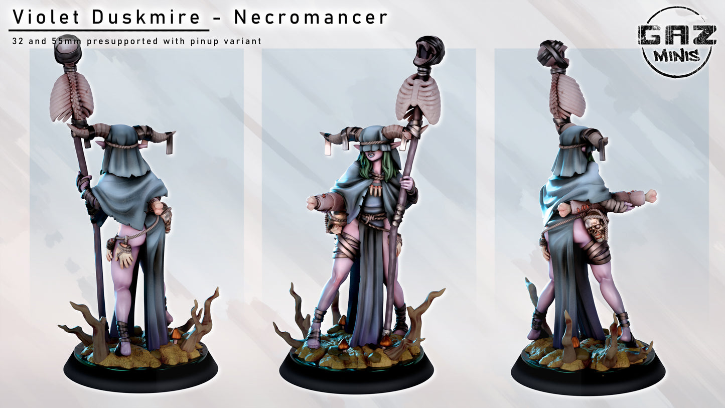 Necromancer - Fan art from GAZ Minis (2024 release)